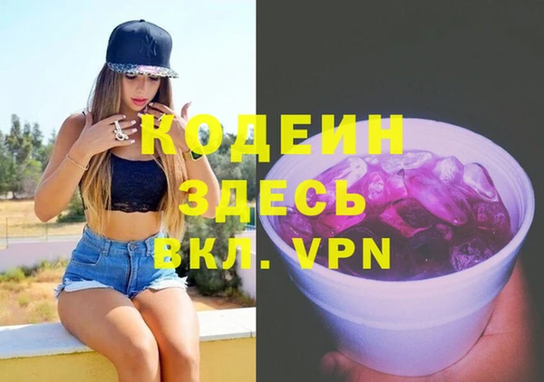 мдпв Карпинск