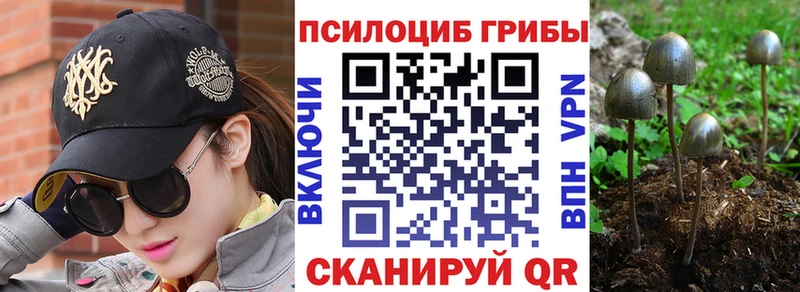 гидра ССЫЛКА  цена наркотик  Елец  Галлюциногенные грибы Psilocybine cubensis 