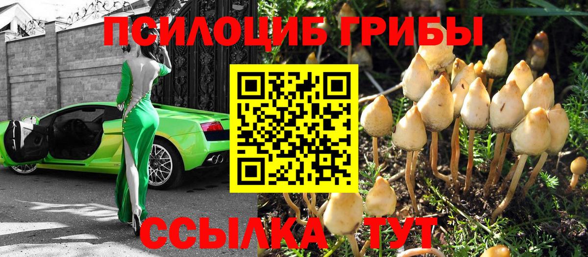 Галлюциногенные грибы прущие грибы Елец