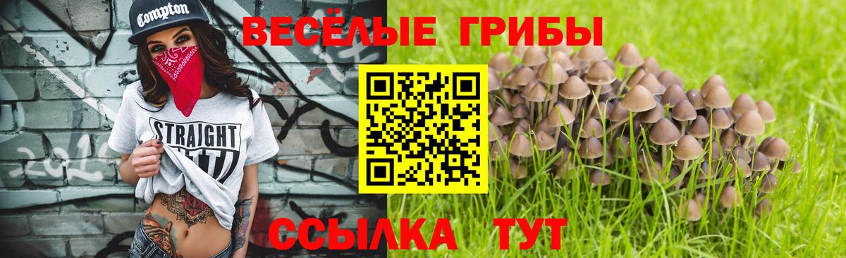 Елец  Псилоцибиновые грибы MAGIC MUSHROOMS  Вход с VPN 